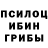 Галлюциногенные грибы мицелий Xojiyeva Nafisa