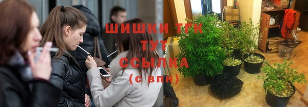 соль ск Богородицк
