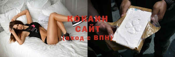 соль ск Богородицк