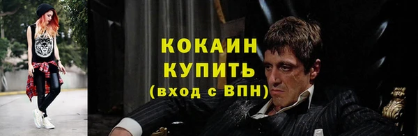 соль ск Богородицк