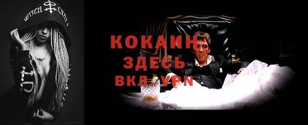 стафф Богданович